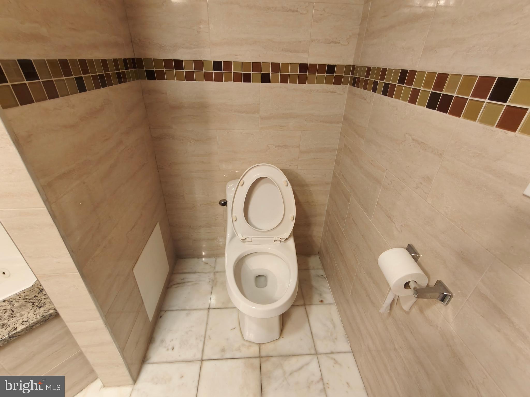 1106 Wallace Street, Unit B Philadelphia, PA 19123 - Photo 20 of 28 a bathroom with a toilet and a shower