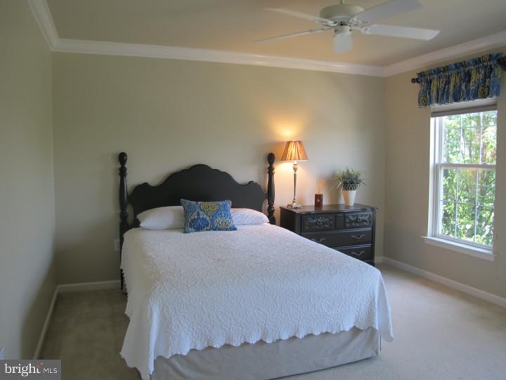 23 Donovan Road Pennington, NJ 08534 - Photo 11 of 18 Guest Room