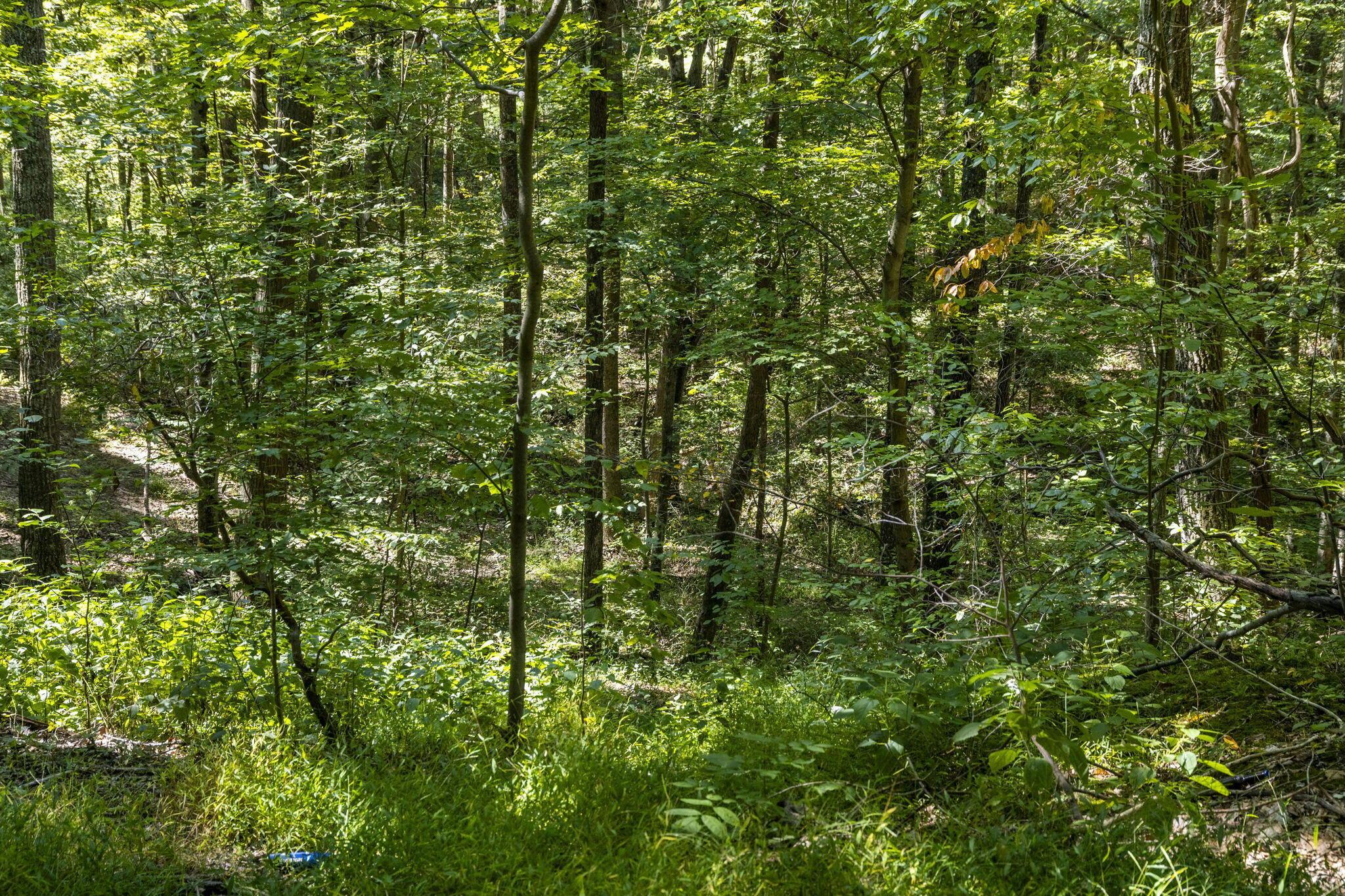 22195 Cliff Road Rockbridge, OH 43149 - Photo 59 of 66 Walking Trails - 22195 Cliff Road, Rockbridge, OH 43149
