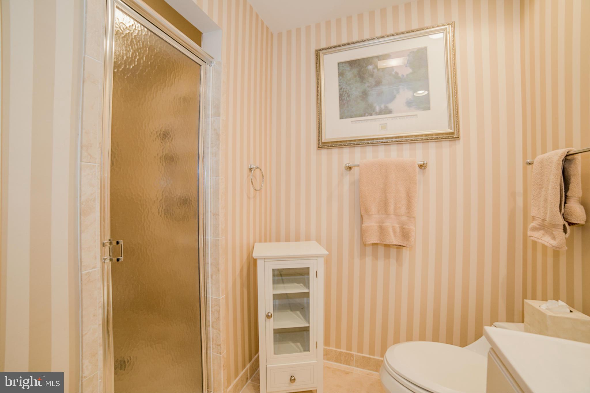8796 Boulder Ridge Road Laurel, MD 20723 - Photo 20 of 30 Master Bath