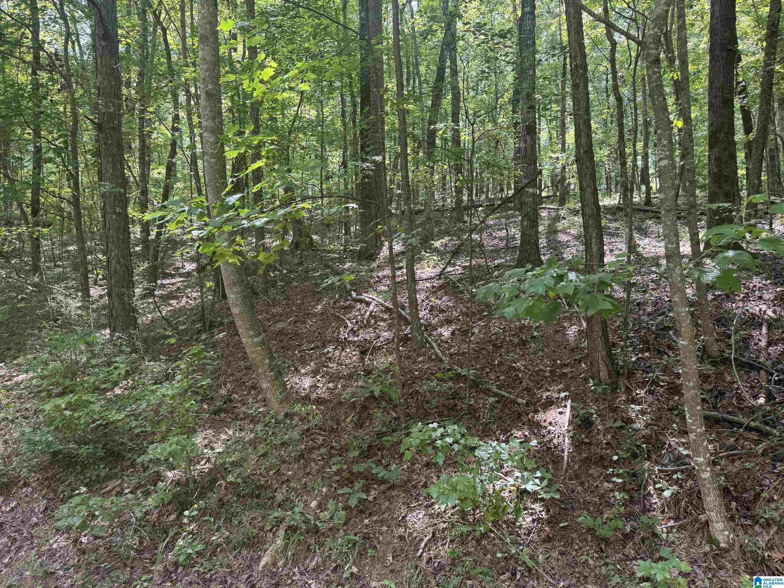 85 Mohawk Court, Unit 22 Ohatchee, AL 36271 - Photo 9 of 37