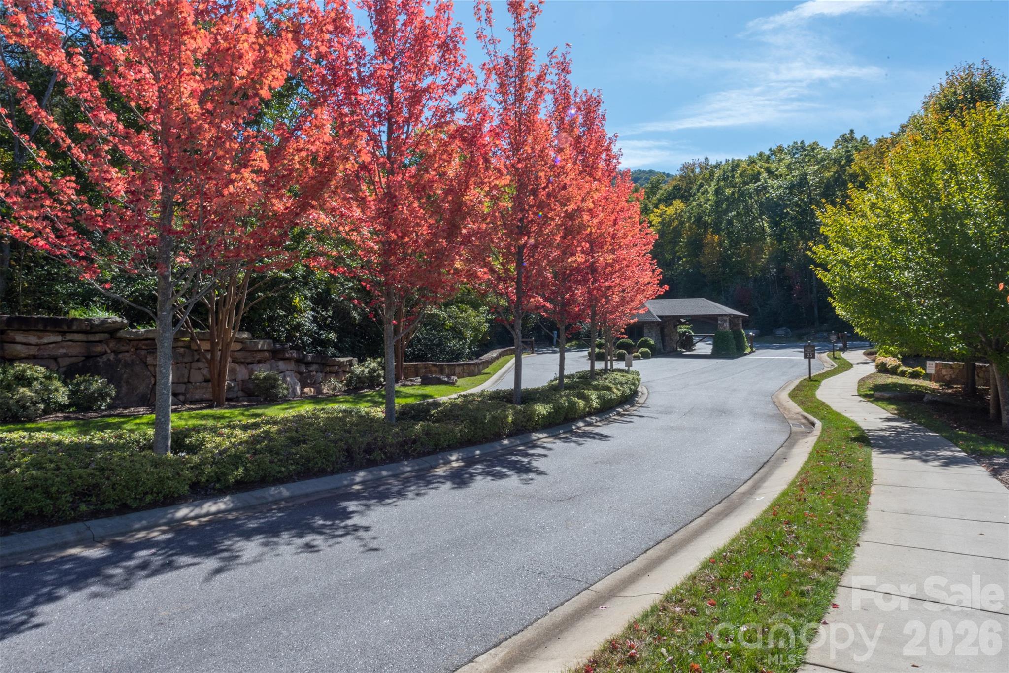 29 Crockett Ridge Road Black Mountain, NC 28711 - Photo 46 of 48