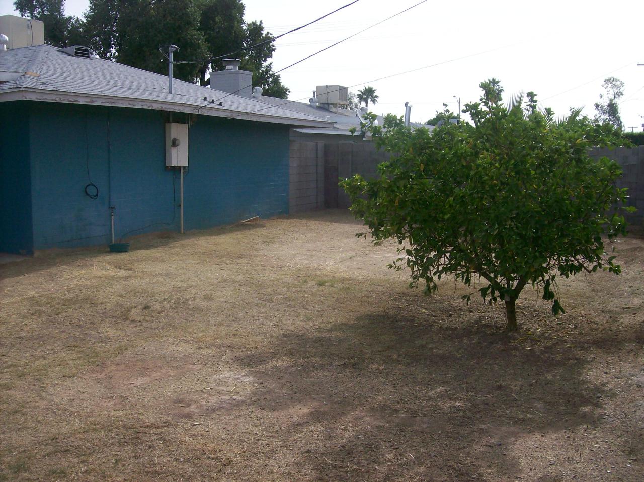 3715 West Lamar Road Phoenix, AZ 85019 - Photo 8 of 9 a backyard of a house with lots of green space