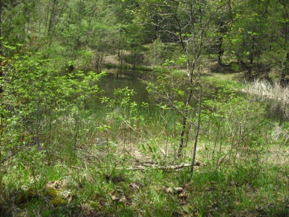 800 William K Smith Road Edmonton, KY 42129 - Photo 38 of 74 Gallery Image 38