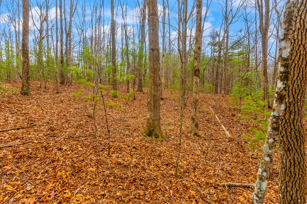 1.03-ac Guy Eller Road Murphy, NC 28906 - Photo 9 of 27