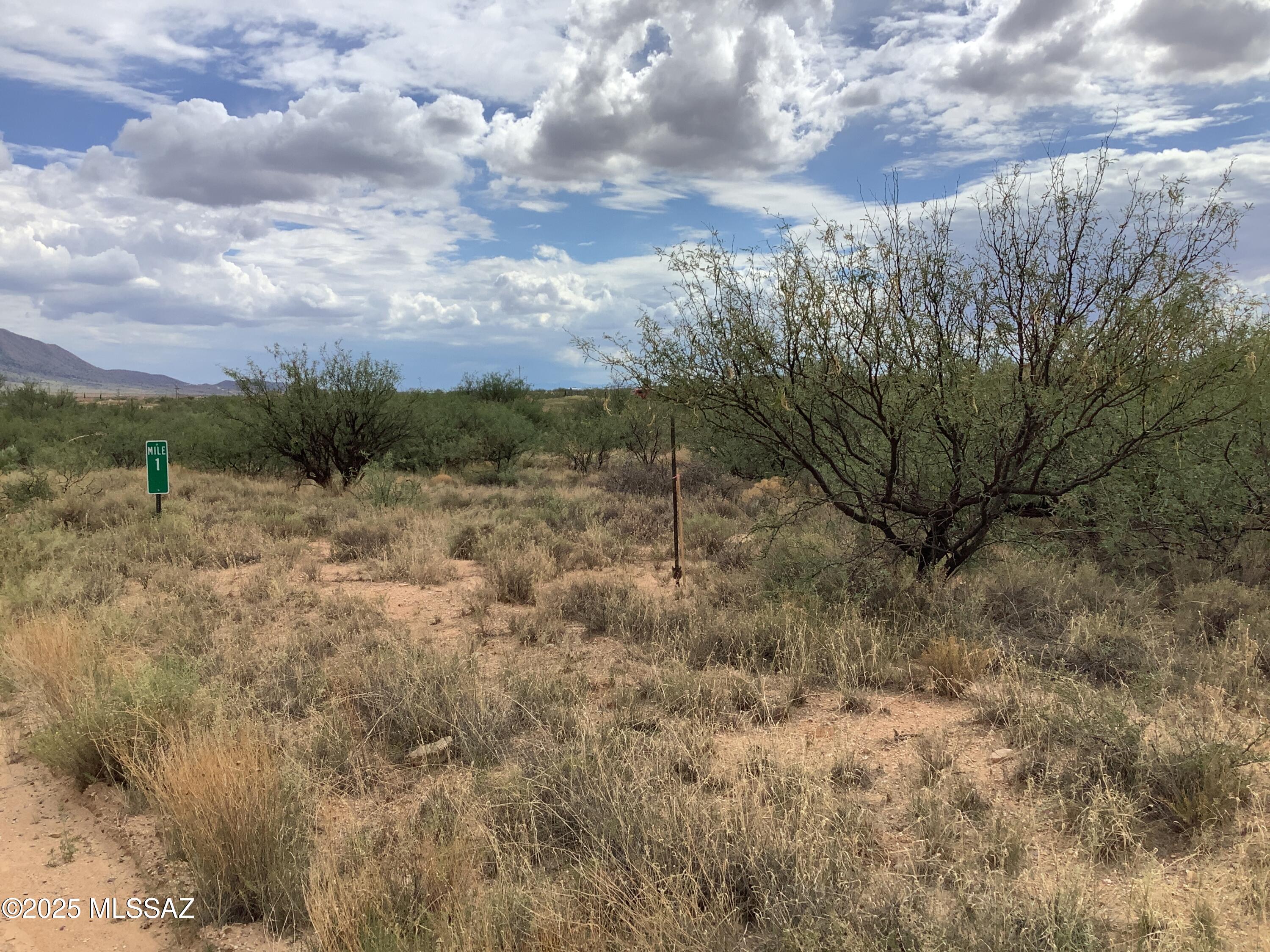4.00-ac North Johnson Road Dragoon, AZ 85609 - Photo 5 of 31 IMG_1280