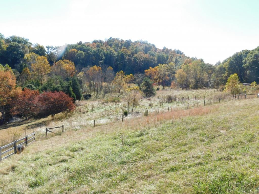 264 Island Road Kingsport, TN 37664 - Photo 8 of 36 Pasture view