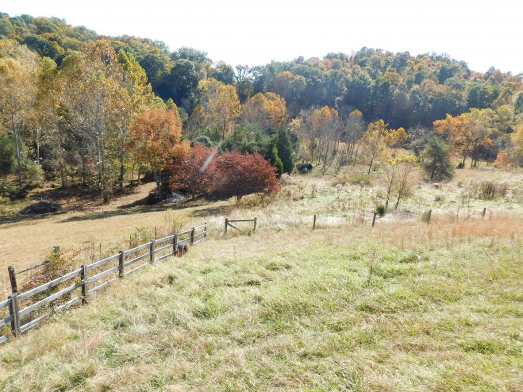 264 Island Road Kingsport, TN 37664 - Photo 9 of 36 Pasture view