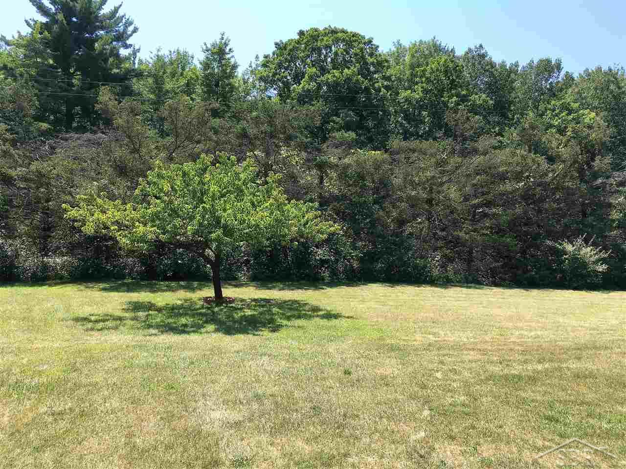 19120 Nelson Road St. Charles, MI 48655 - Photo 23 of 23 Fruit Tree