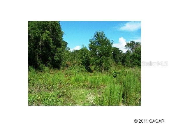 0 County Road High Springs, FL 32643 - Photo 1 of 1 a picture of a park