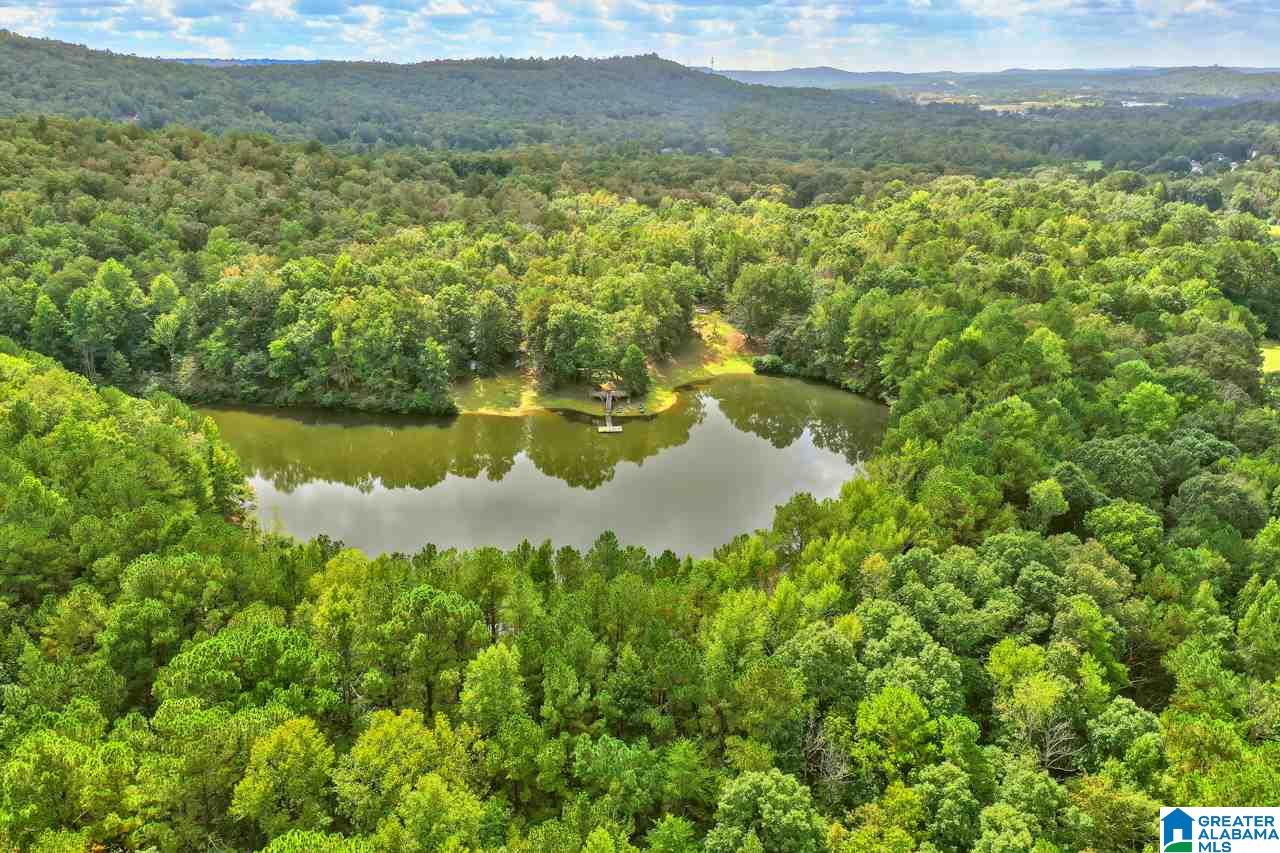 1242 Oak Mountain Trail Pelham, AL 35124 - Photo 41 of 41