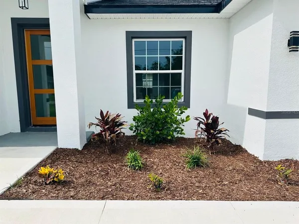 a potted plant sitting in front of a house