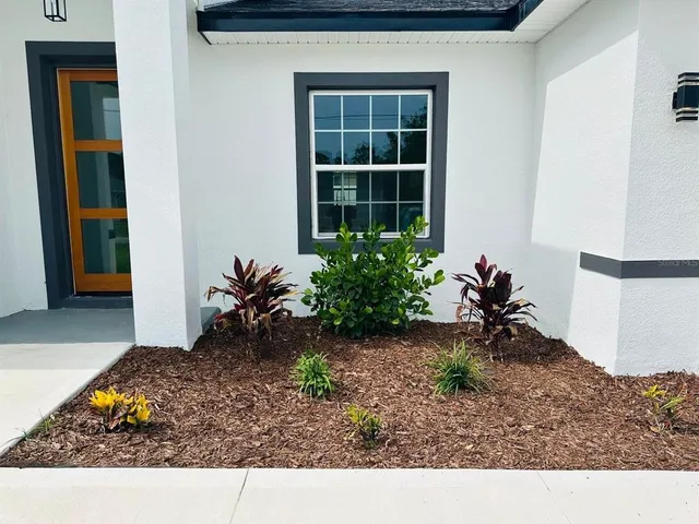 a potted plant sitting in front of a house