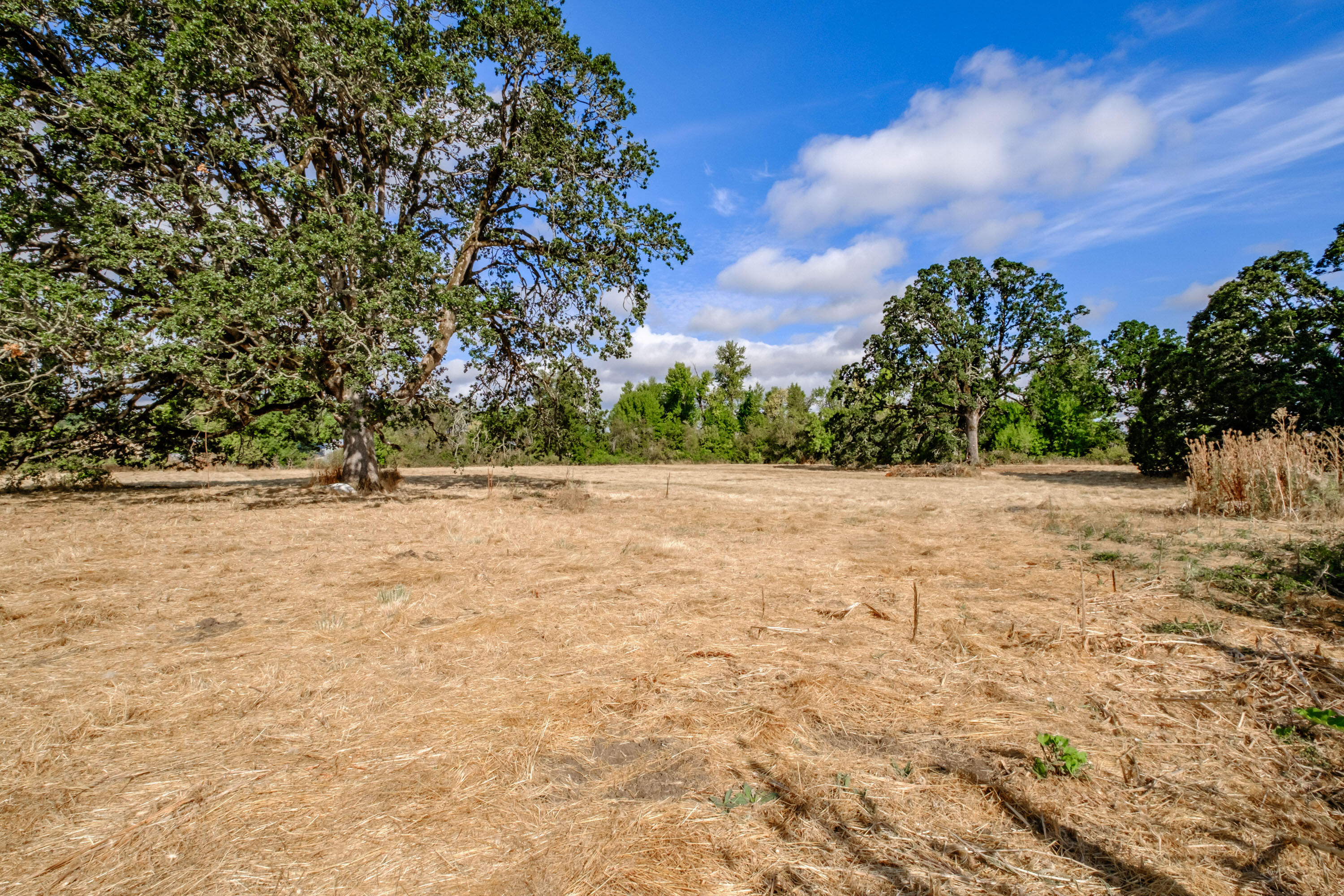 12495 Clow Corner Road Dallas, OR 97338 - Photo 39 of 50 a view of yard