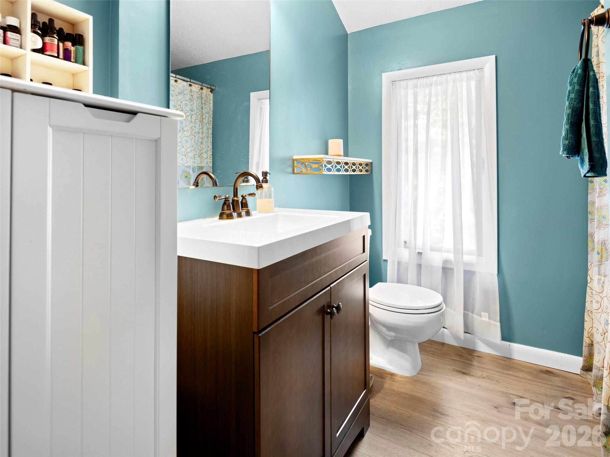 756 Pole Creasman Road Asheville, NC 28806 - Photo 17 of 29 a bathroom with a sink toilet and mirror
