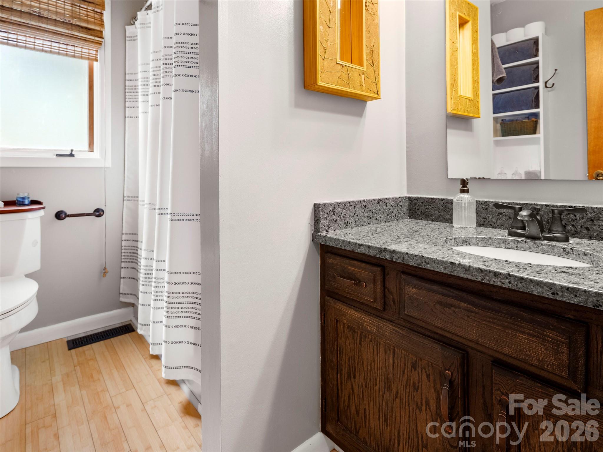 756 Pole Creasman Road Asheville, NC 28806 - Photo 10 of 29 a bathroom with a sink a toilet and shower