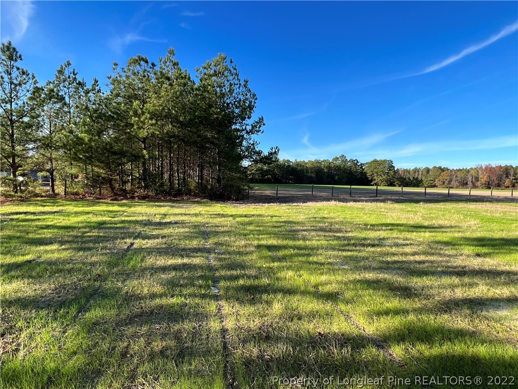 7850 Rufus Johnson Road Fayetteville, NC 28306 - Photo 11 of 11 a view of a large pool with a yard
