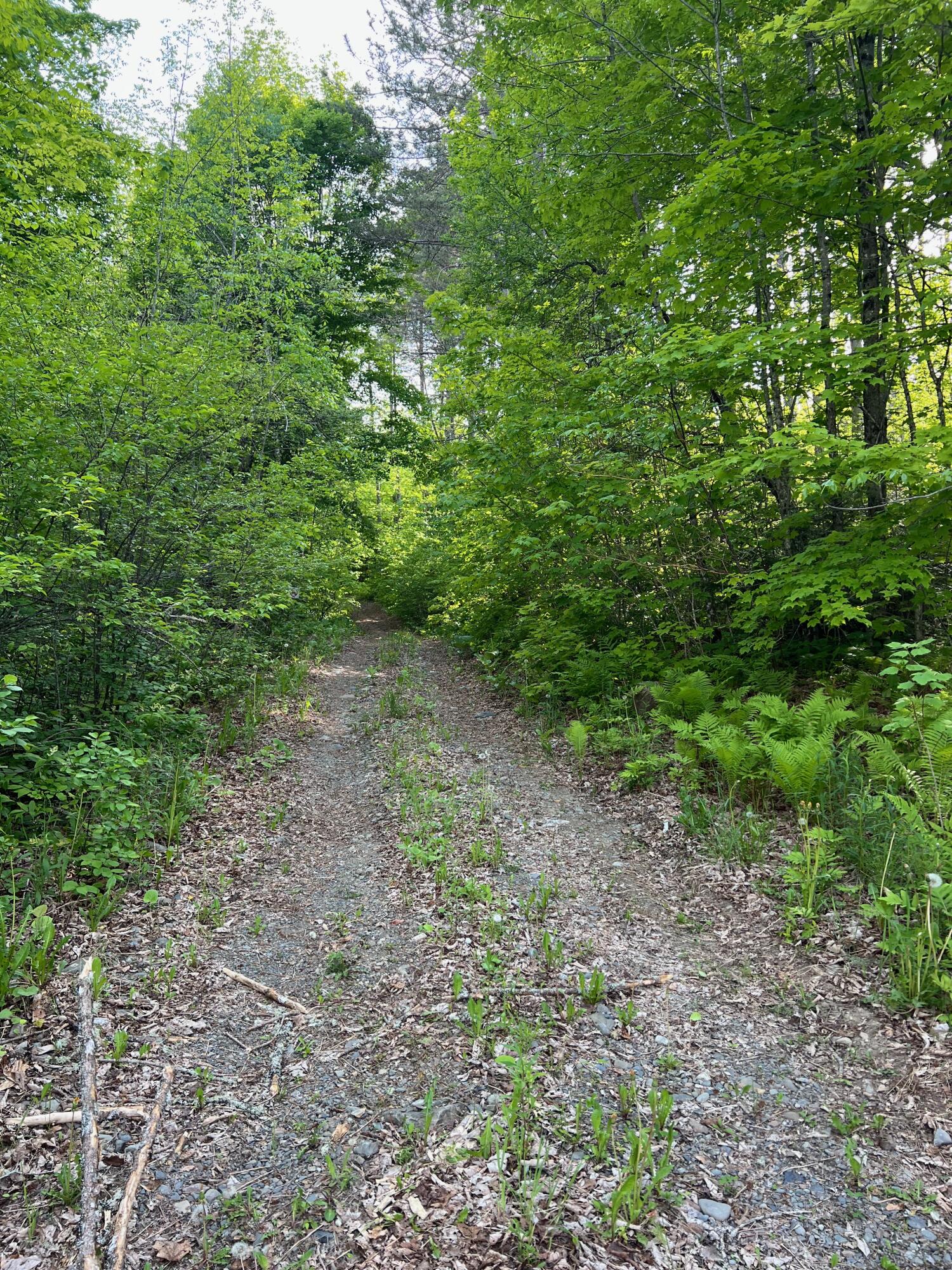 60 Hutchinson Road Linneus, ME 04730 - Photo 3 of 20 IMG_4269