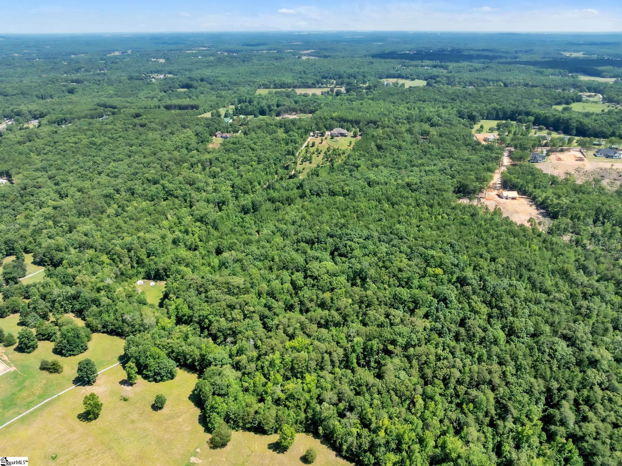 1940 Pleasant Hill Road, Unit LOT 4 Greer, SC 29651 - Photo 11 of 13