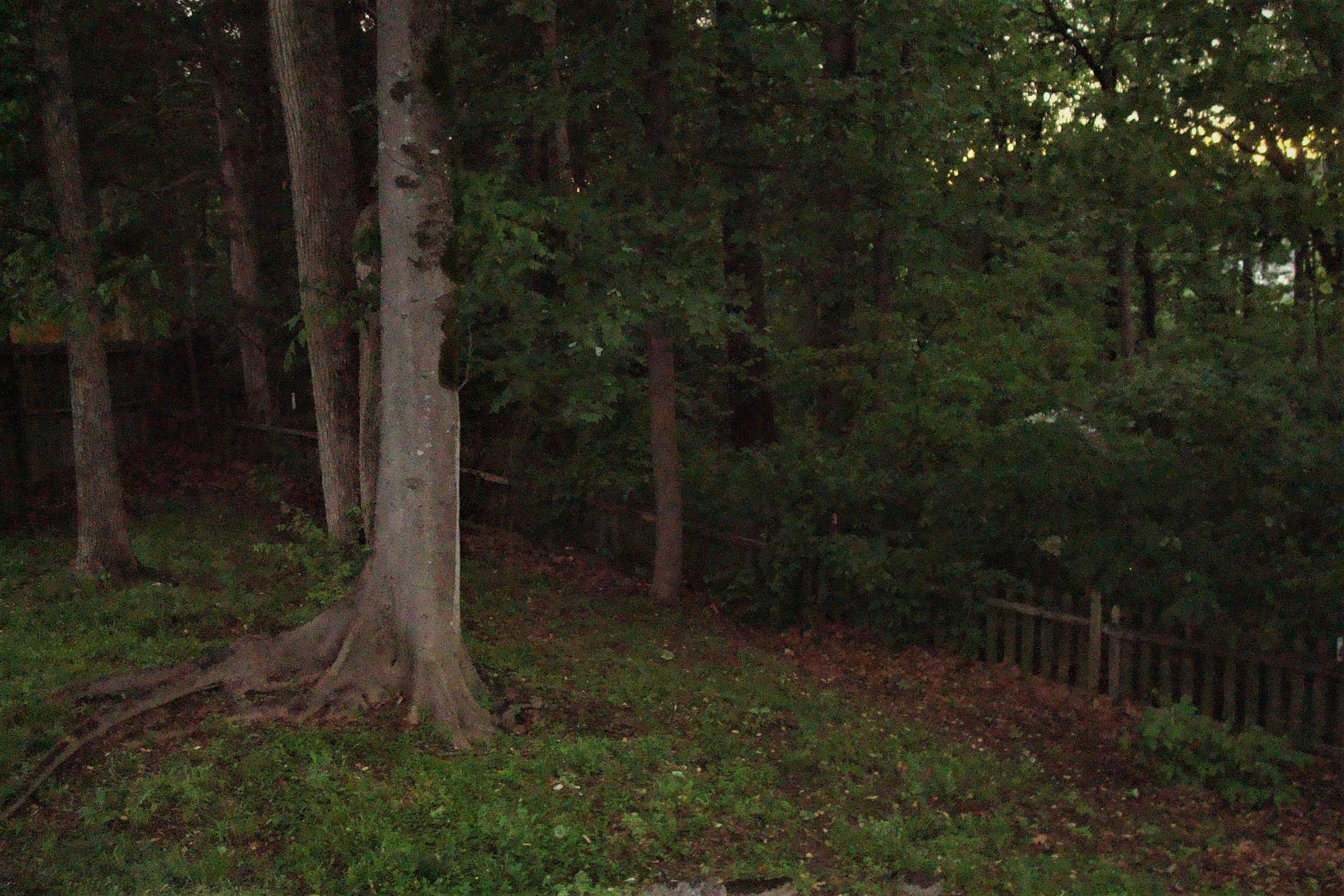 1028 Aldersgate Road Antioch, TN 37013 - Photo 25 of 27 Gallery Image 25