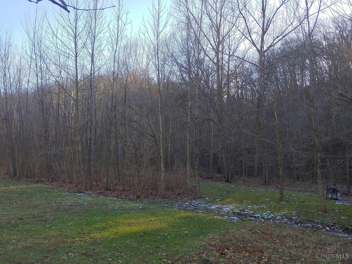 9928 Suck Run Road Ripley, OH 45167 - Photo 4 of 6
