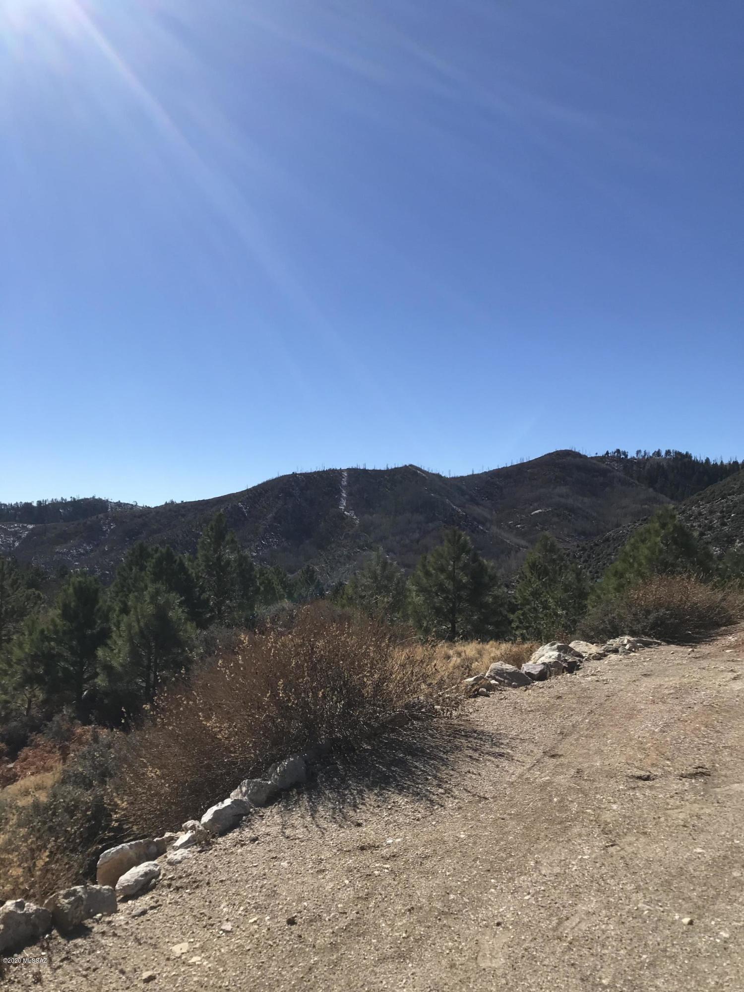 12986 Yuma Road, Unit 4 5 Mount Lemmon, AZ 85619 - Photo 4 of 11