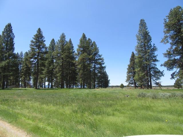 450 Oregon Pines Road Sprague River, OR 97639 - Photo 15 of 32 Additional Photo