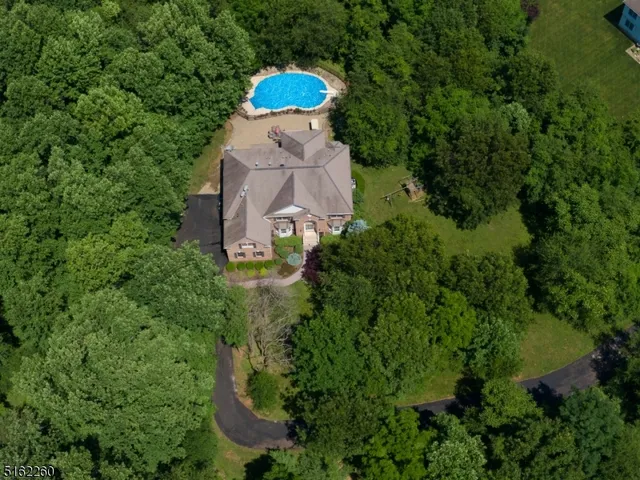 a view of a tree in a yard