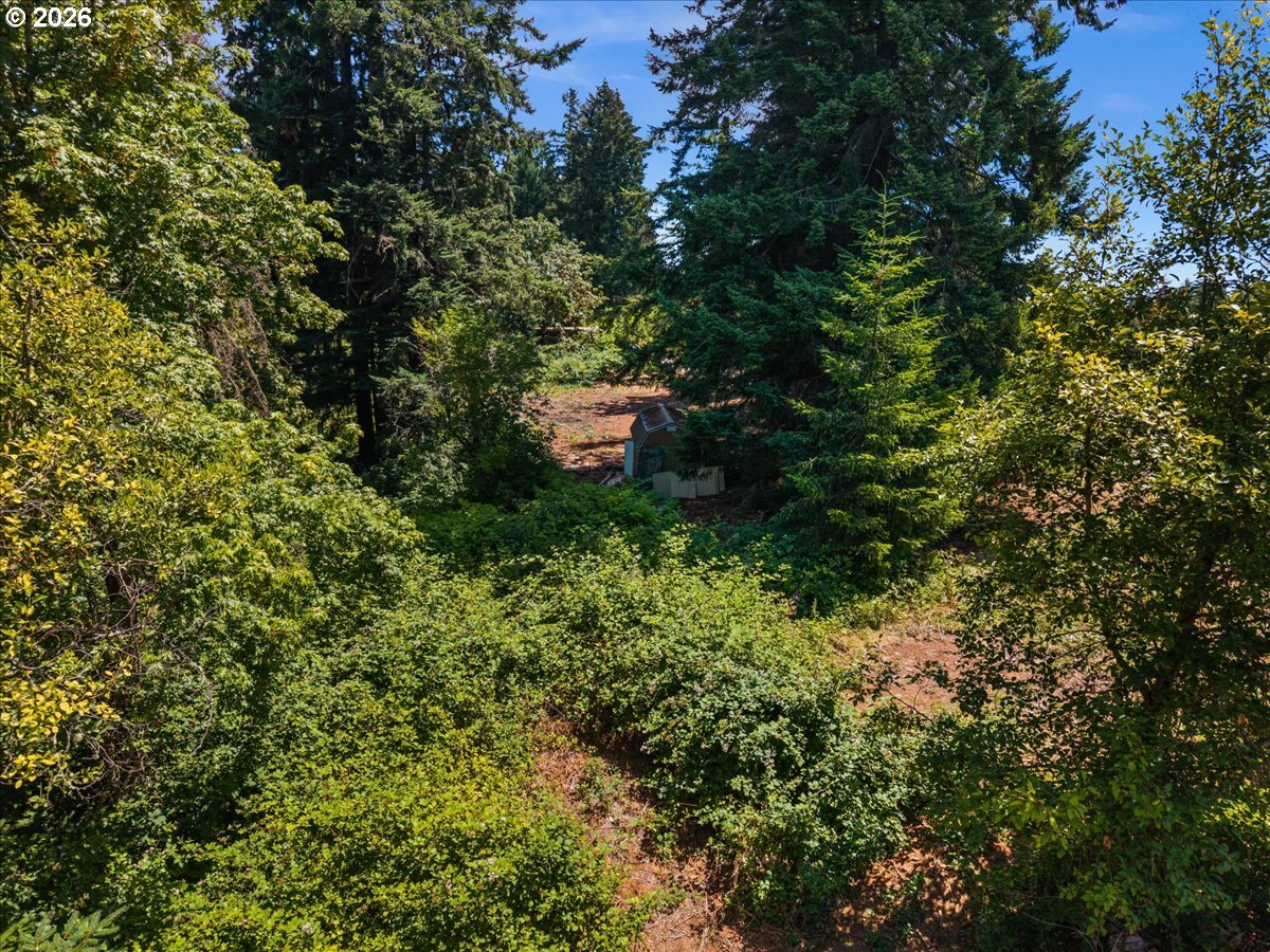 20802 Northwest Pumpkin Ridge Road North Plains, OR 97133 - Photo 10 of 18