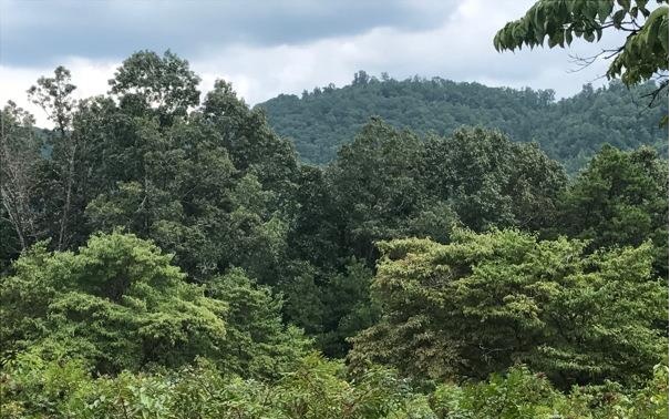 9 Red Silo Ridge Road Murphy, NC 28906 - Photo 1 of 1 Main View