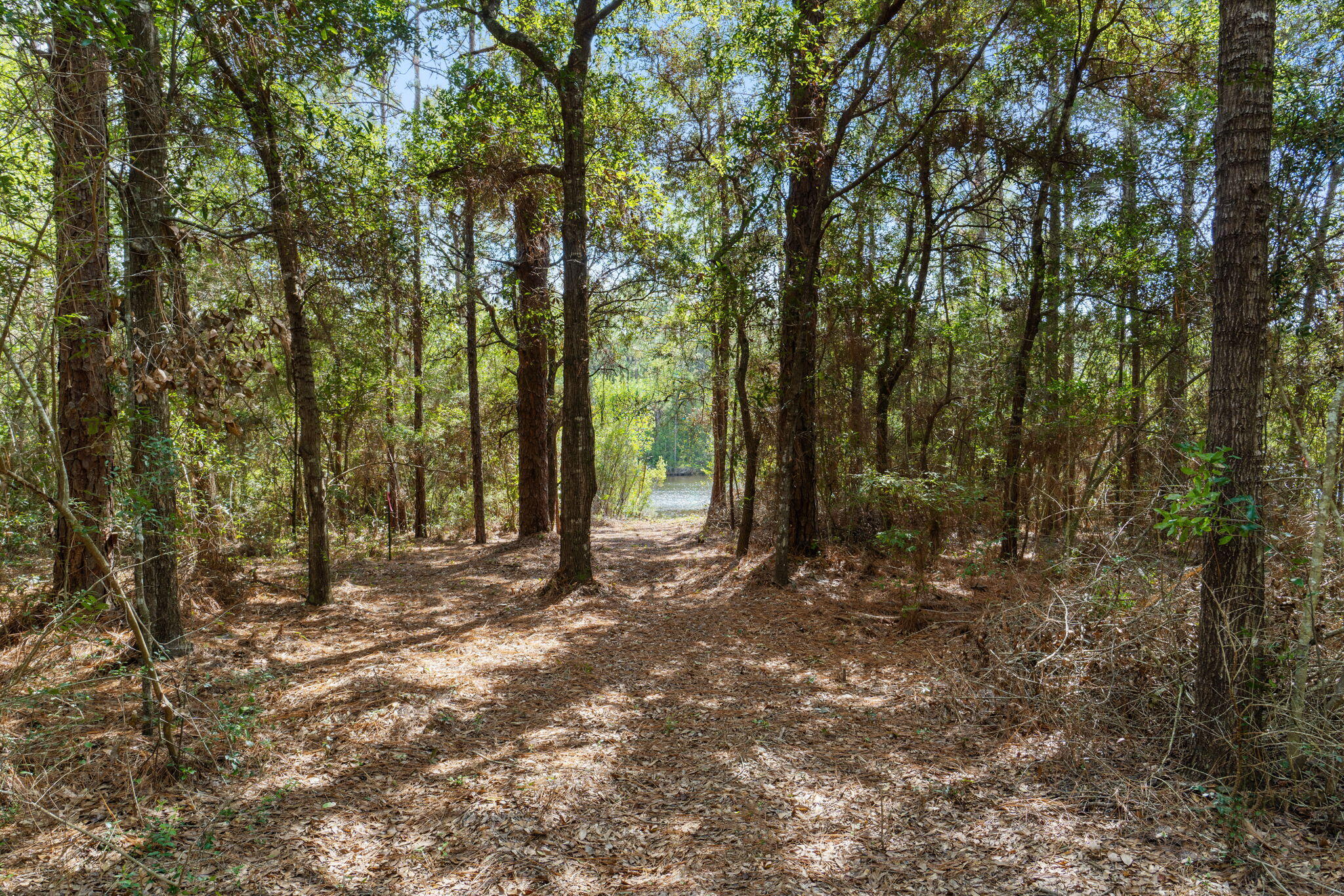1259 Martin Road DeFuniak Springs, FL 32433 - Photo 16 of 21 34-web-or-mls-FinalExterior-11