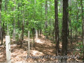 7575 Stoney Point Road Fayetteville, NC 28306 - Photo 24 of 25 Gallery Image 24