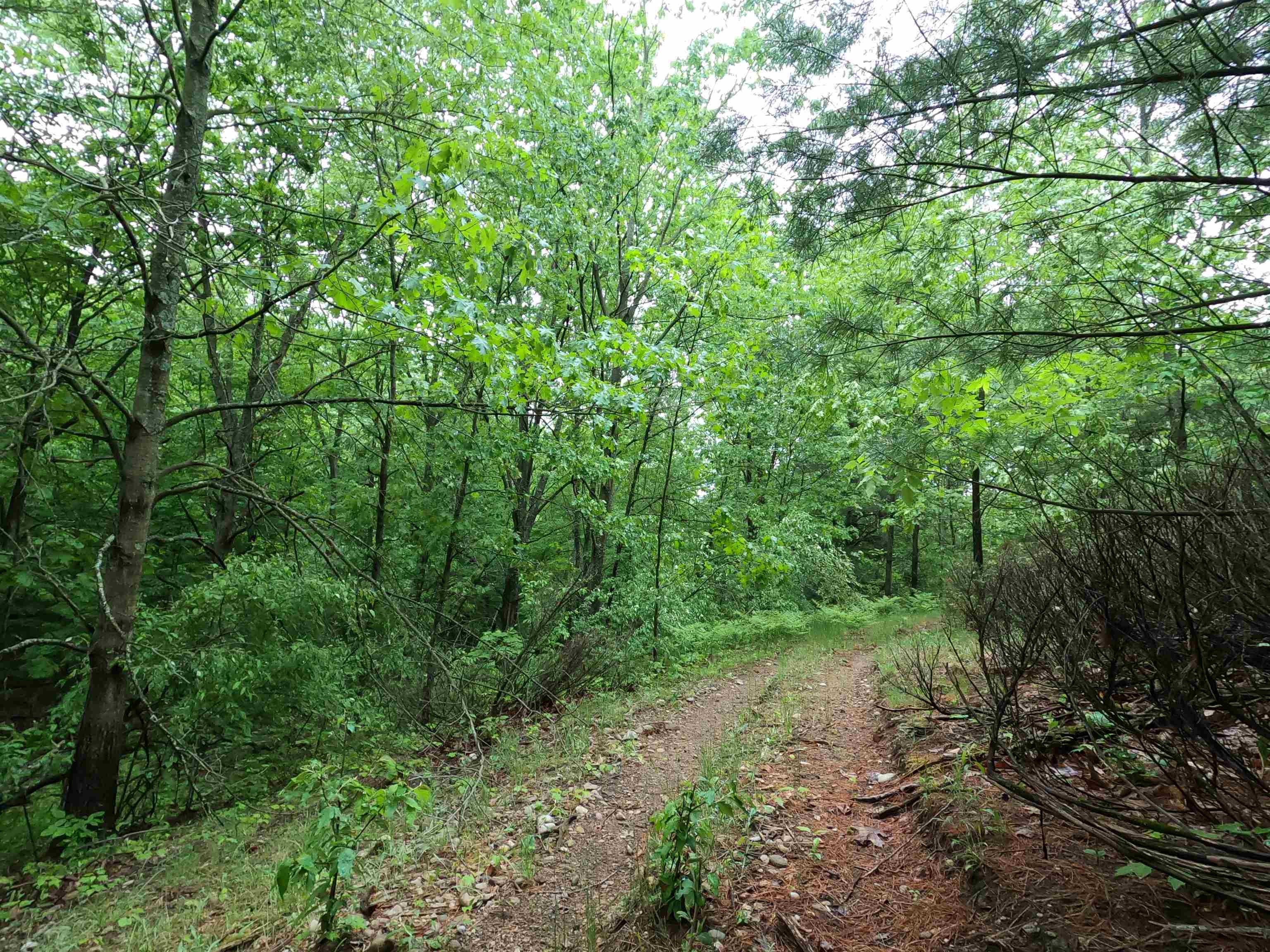 2779 Five Mile Road Traverse City, MI 49686 - Photo 15 of 19 1901192-14.JPG