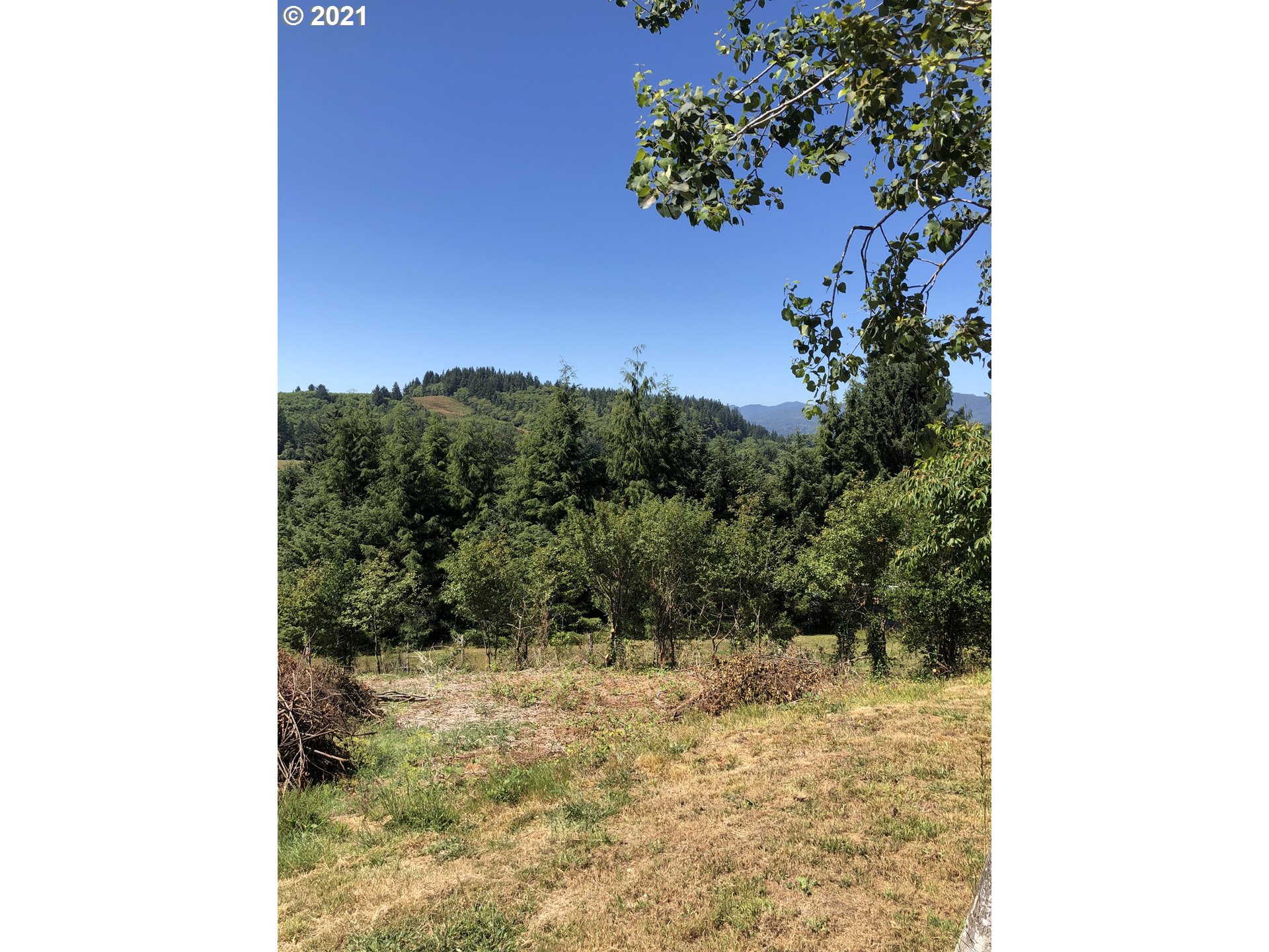 8245 Burbank Road Tillamook, OR 97141 - Photo 11 of 28 a view of a yard