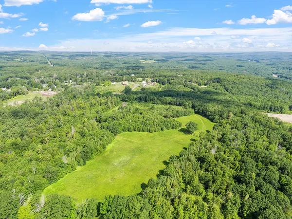 a view of a city with lush green forest