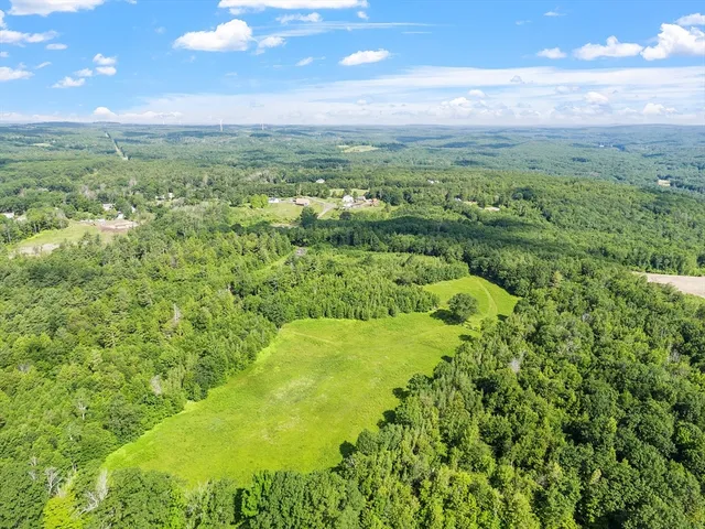 a view of a city with lush green forest