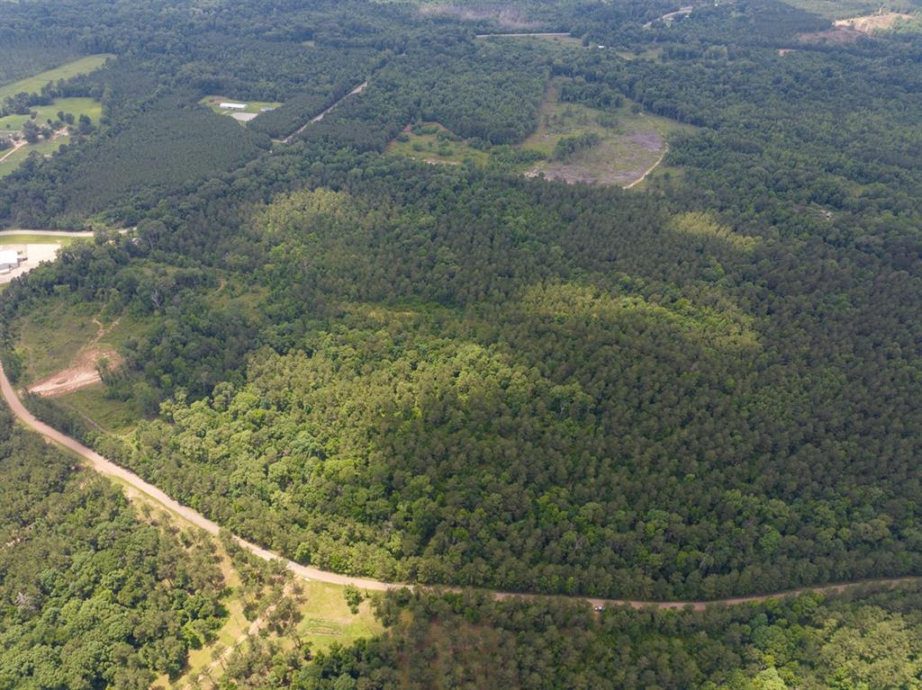 2 Posey Webb Camp Road Jonesville, LA 71343 - Photo 12 of 13