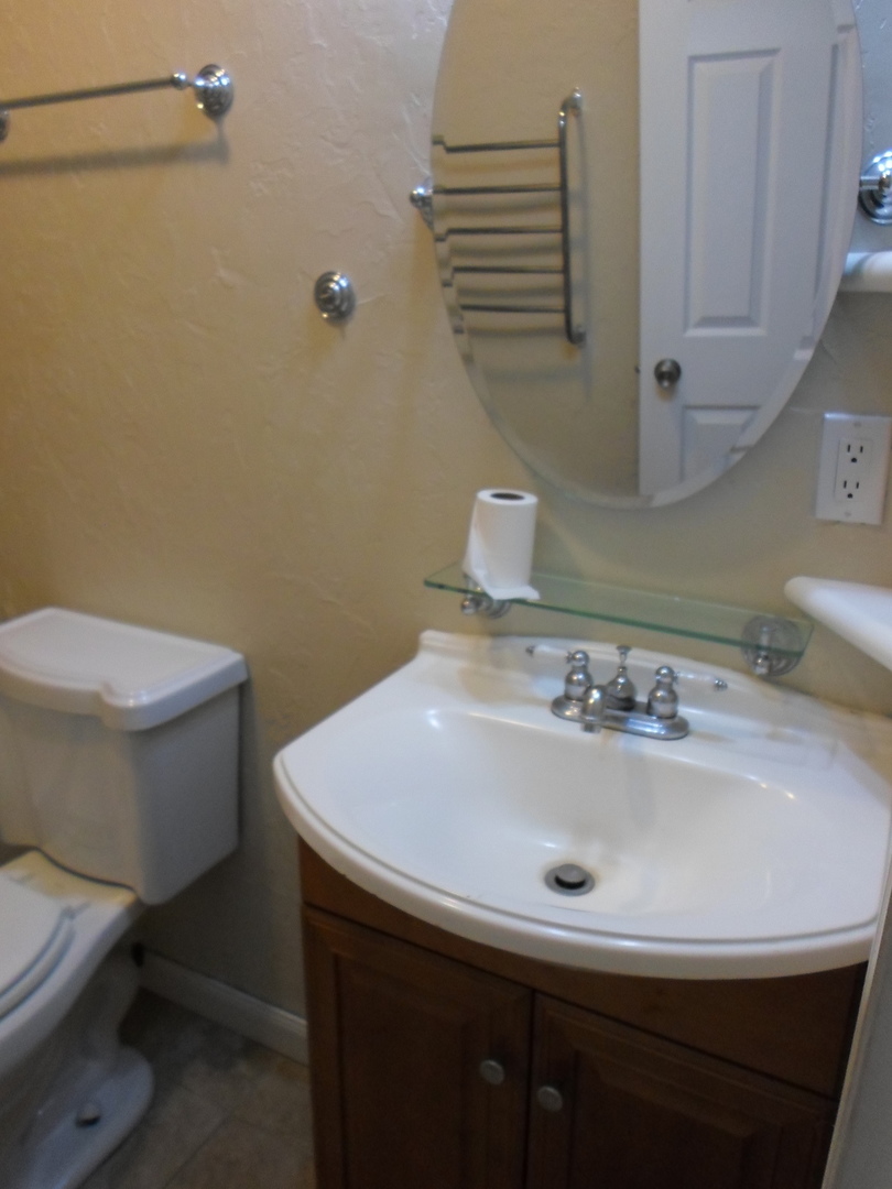 383 Wilmington Drive, Unit E Bartlett, IL 60103 - Photo 17 of 17 a bathroom with a sink and a toilet