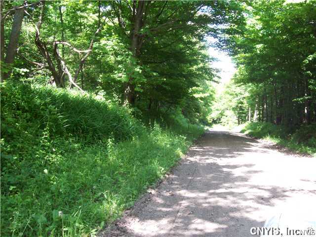 0 Isnecker Road Boonville, NY 13309 - Photo 1 of 1 Land