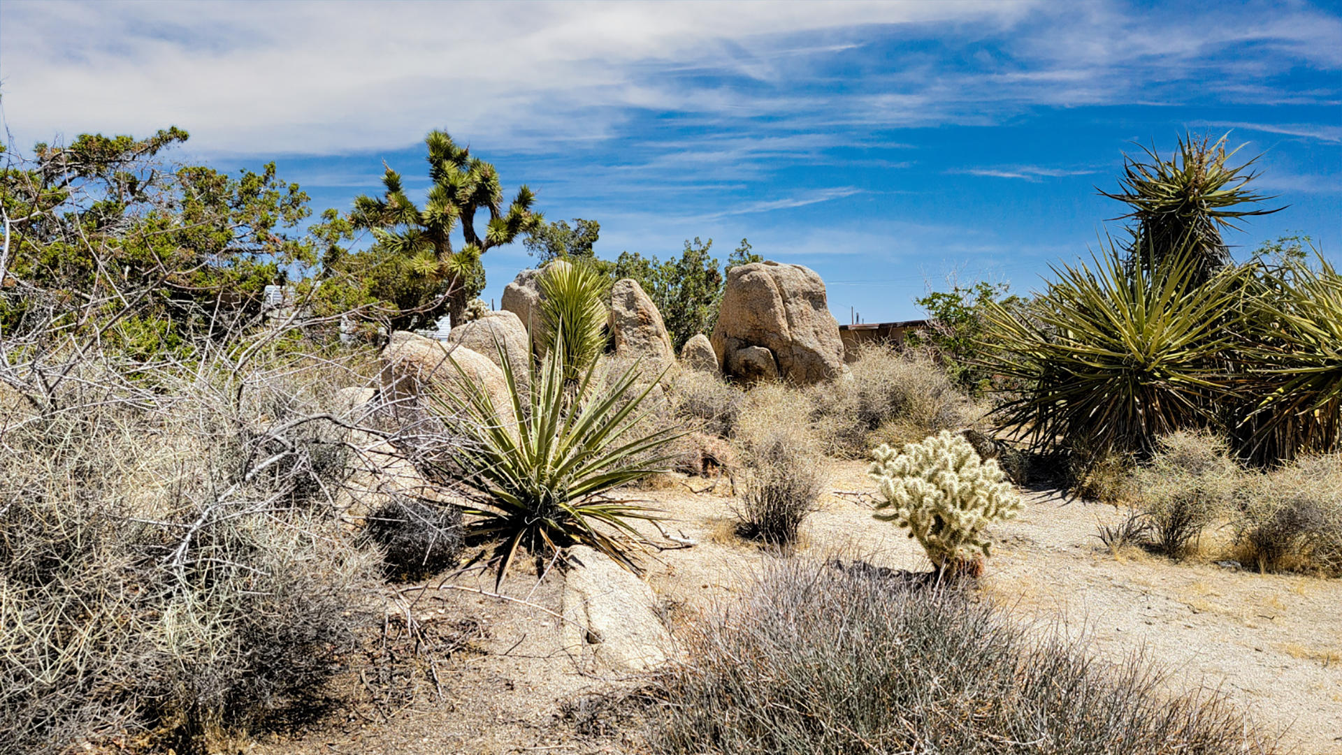 56949 Spencer Road Yucca Valley, CA 92284 - Photo 23 of 31 Boulders