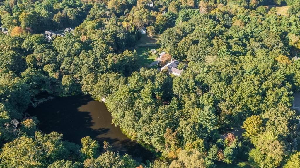 26 Skating Pond Road Weston, MA 02493 - Photo 36 of 41