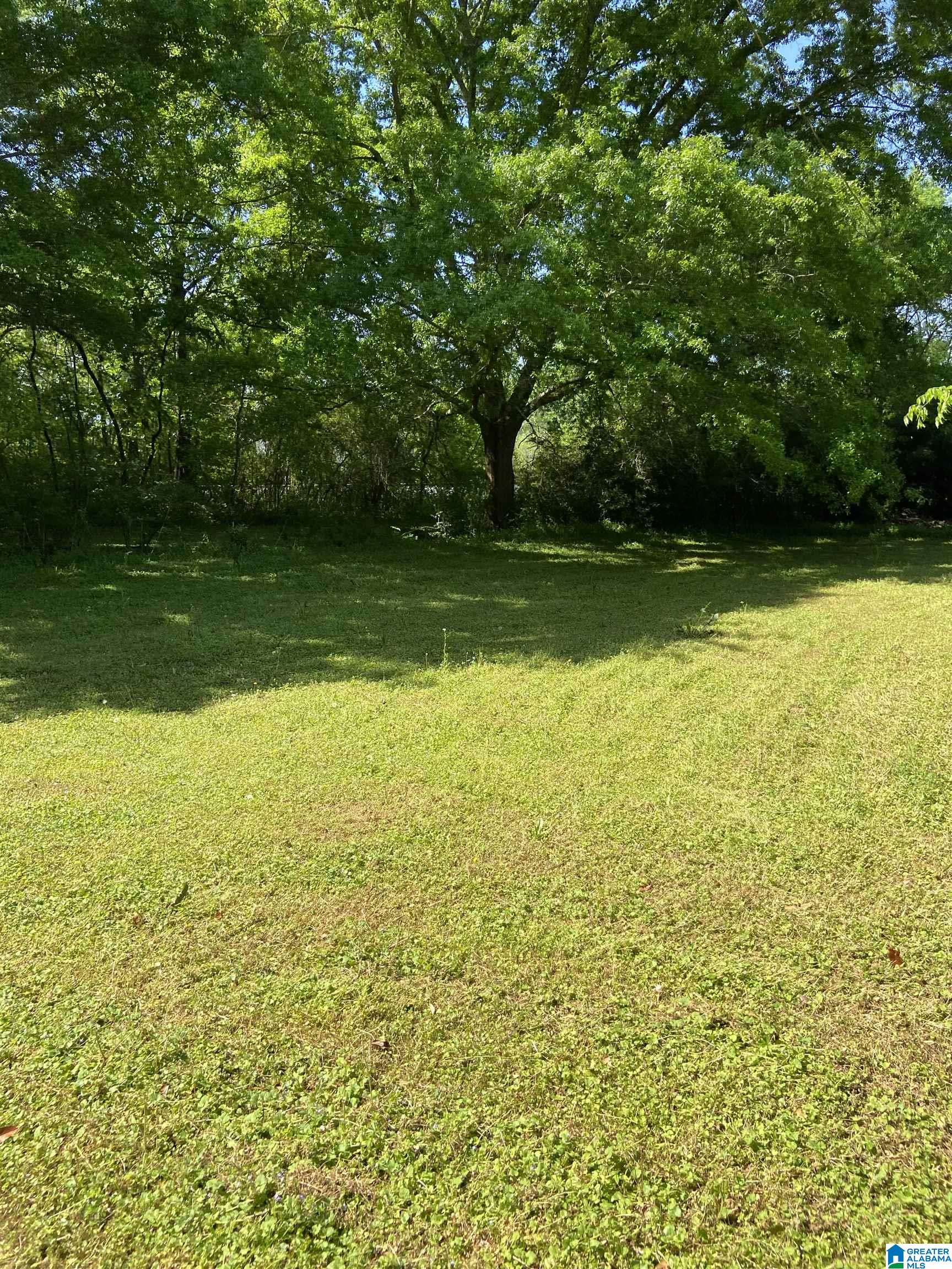 1723 Iron City Road, Unit 1 Anniston, AL 36207 - Photo 3 of 4