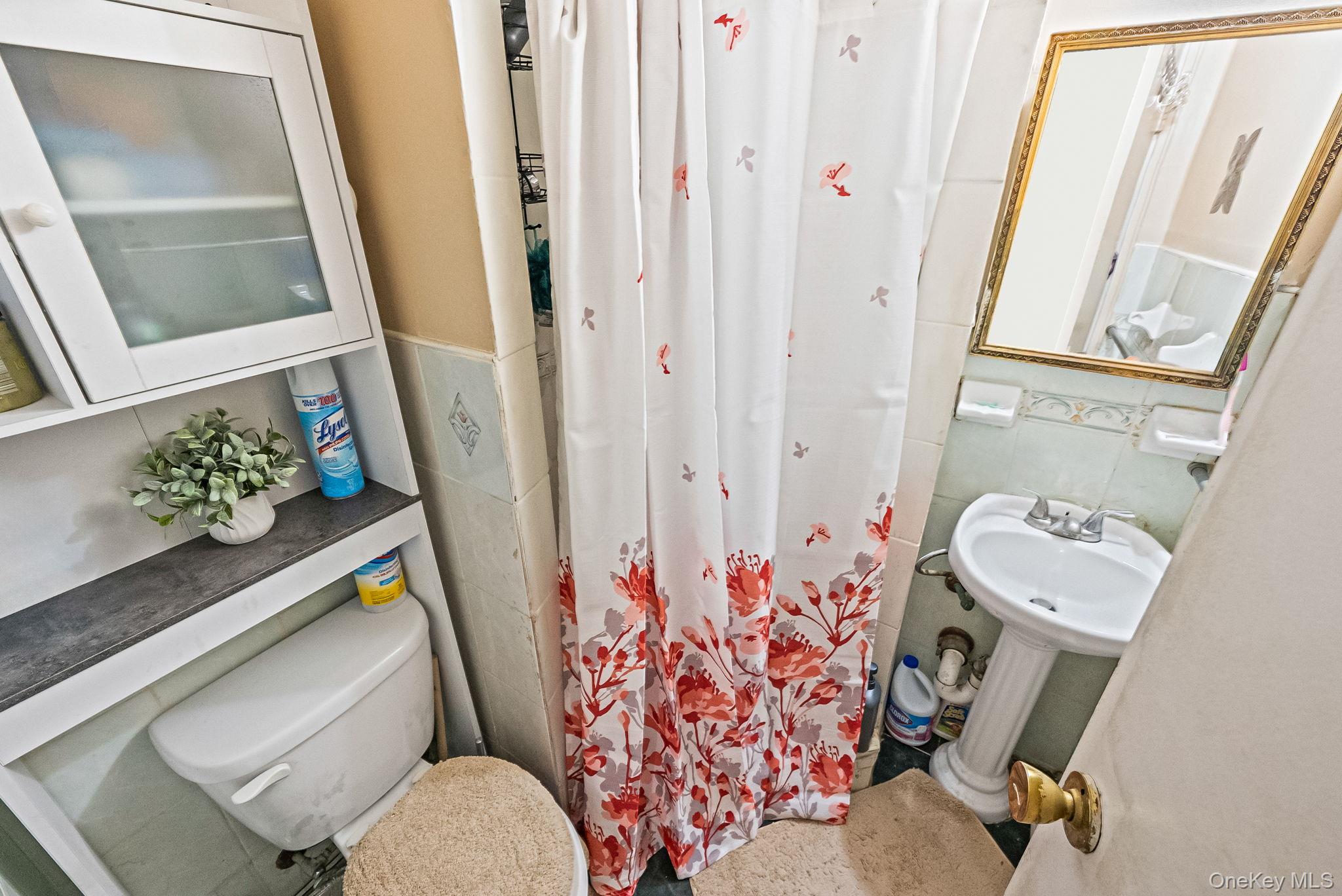 2070 Ralph Avenue Brooklyn, NY 11234 - Photo 44 of 48 a bathroom with a sink toilet and shower