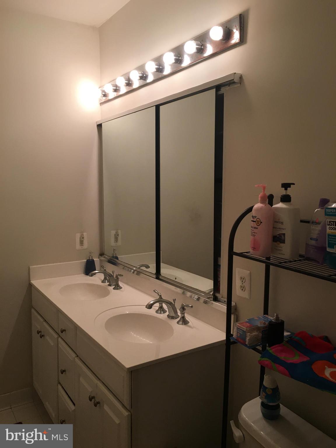 24999 Riding Center Drive Chantilly, VA 20152 - Photo 14 of 20 Master Bath
