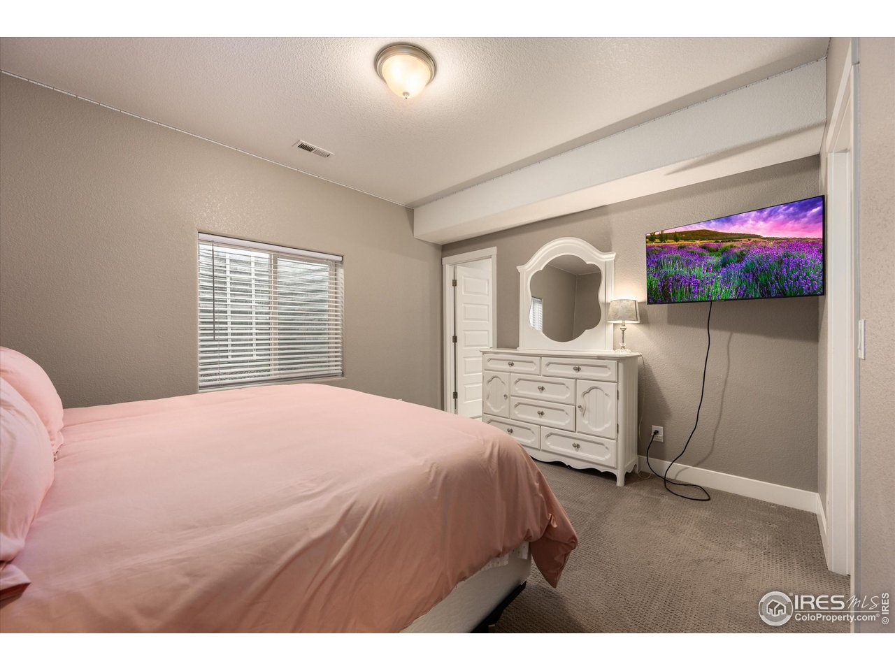 1378 Copeland Falls Road Severance, CO 80550 - Photo 28 of 36