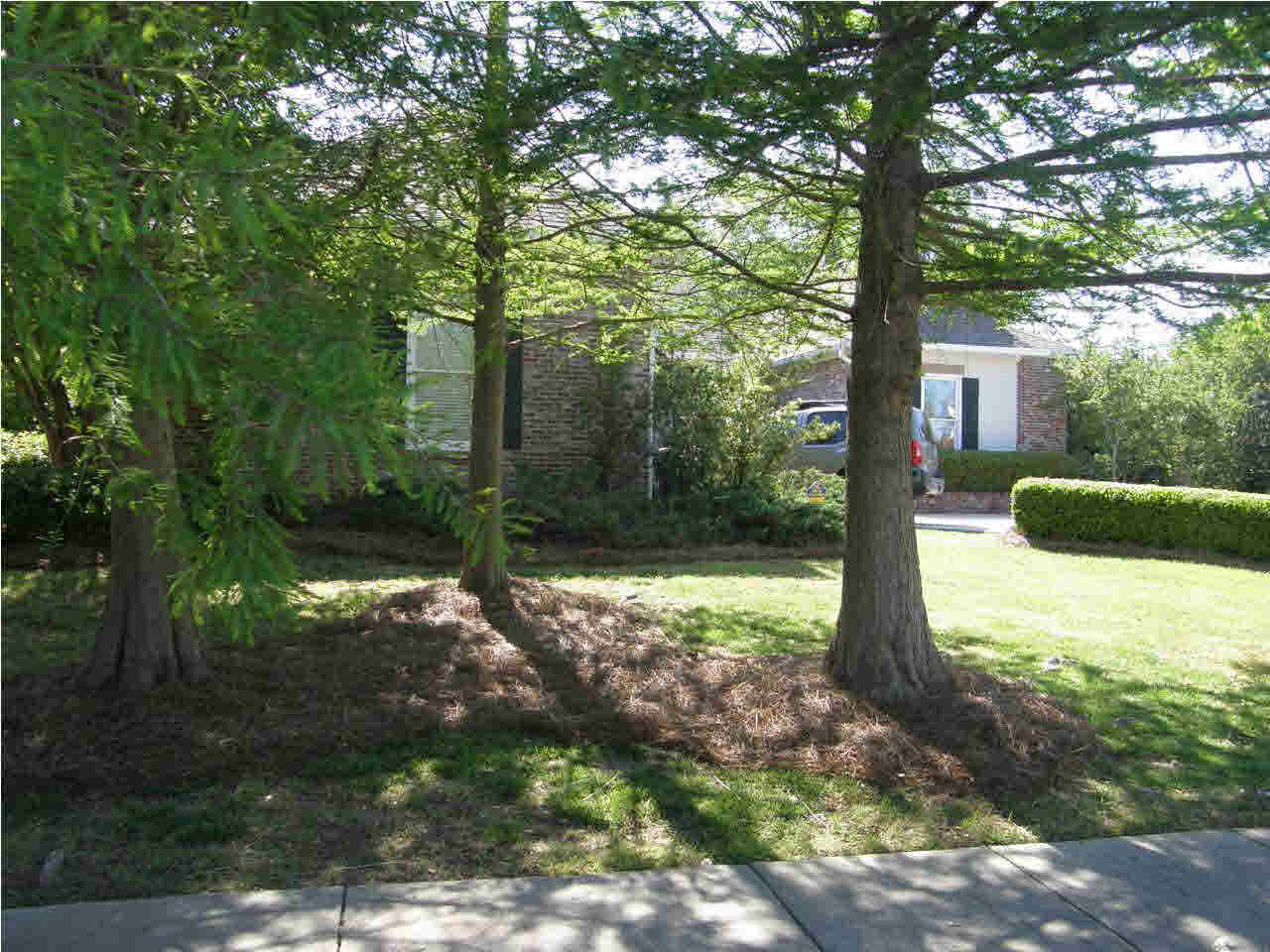 103 Brighton Lane Ridgeland, MS 39157 - Photo 7 of 46 wonderful yard! Privacy!