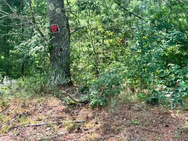 $40,000 | 8283 South Harperwoods Street, Unit 3, Baldwin, MI 49304