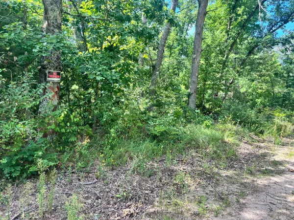 $40,000 | 8283 South Harperwoods Street, Unit 3, Baldwin, MI 49304