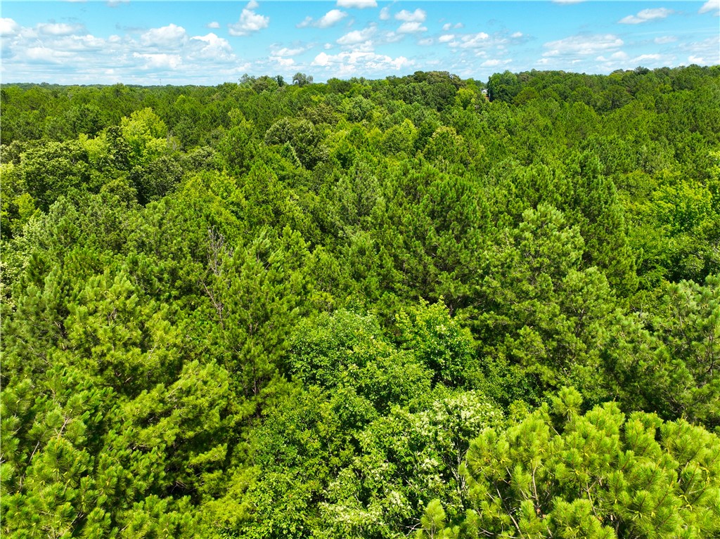 401 Coleman Road Clinton, SC 29325 - Photo 6 of 25