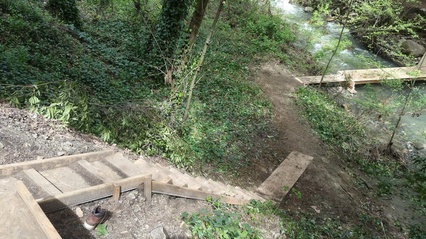 15851 Stevens Canyon Road Cupertino, CA 95014 - Photo 12 of 12 a view of yard with green space